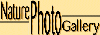 �c�[���j����