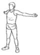 �����ɐL�΂�
