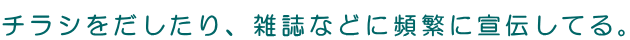 �`���V����������A�G���Ȃǂɕp�ɂɐ�`���Ă�B