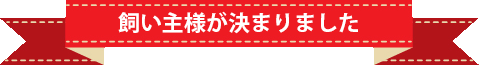 飼い主様が決まりました