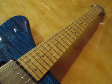 Am Griffbrett WebSite Soultool Customized Guitars/Gemini Custom