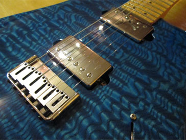 Am Griffbrett WebSite Soultool Customized Guitars/Gemini Custom