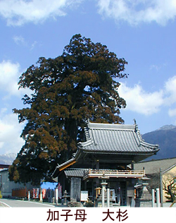 吙