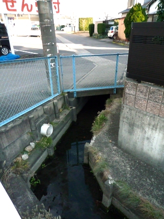 上流探訪20