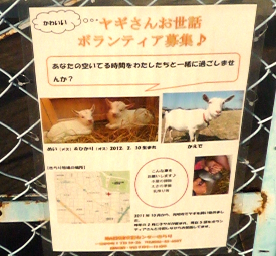 ヤギ牧場2