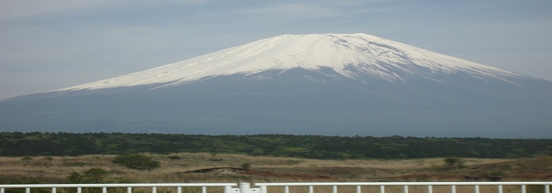 �����P�R�X������茩���x�m�R