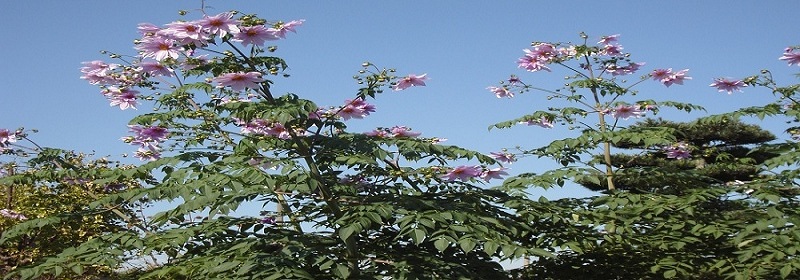 �c��_����